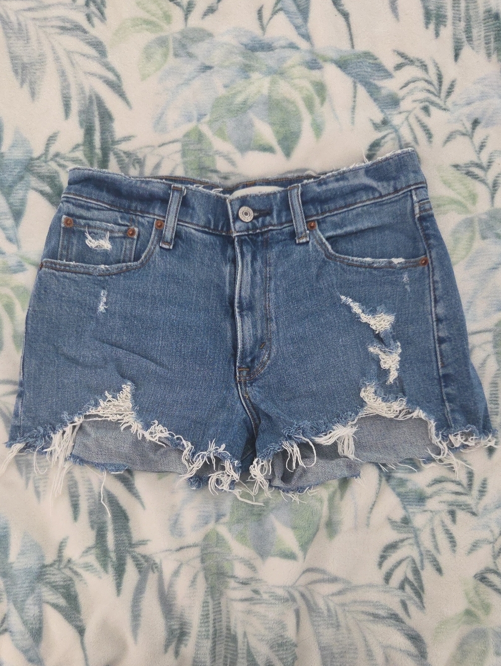 Abercrombie & Fitch Distressed Denim Cutoff Shorts